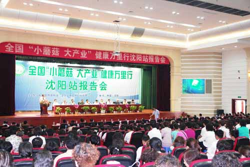 專(zhuān)題報(bào)道