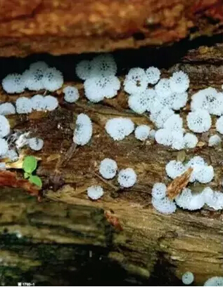 圖片關(guān)鍵詞 圖片關(guān)鍵詞