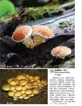 圖片關(guān)鍵詞 圖片關(guān)鍵詞