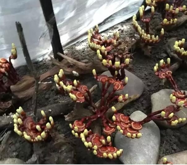 圖片關(guān)鍵詞 圖片關(guān)鍵詞