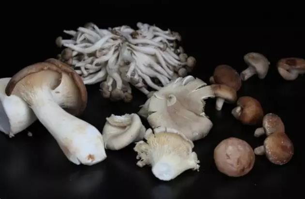 圖片關鍵詞 圖片關鍵詞