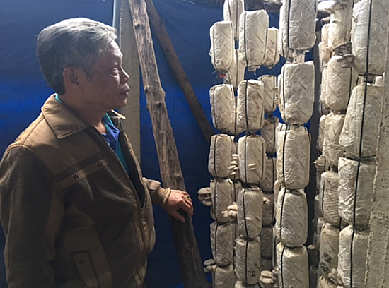 圖片關(guān)鍵詞 圖片關(guān)鍵詞