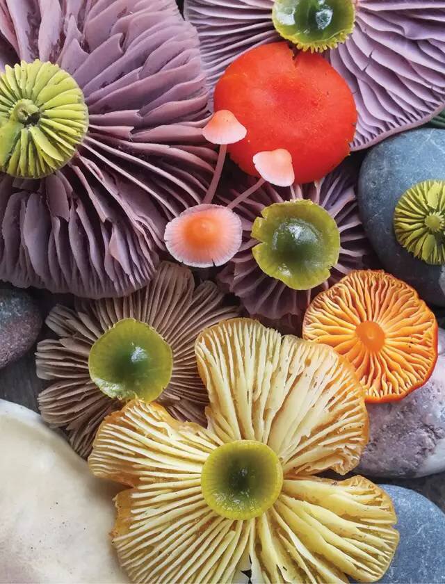 圖片關(guān)鍵詞 圖片關(guān)鍵詞