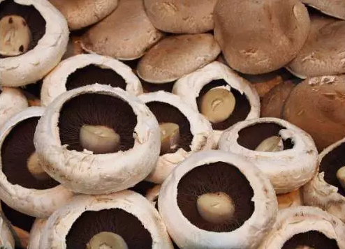 圖片關(guān)鍵詞 http://m.aaa153.com/ewebeditor/uploadfile/20170914091257506001.png