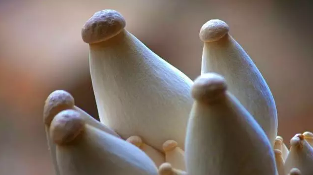 圖片關(guān)鍵詞 http://m.aaa153.com/ewebeditor/uploadfile/20170914091357269001.png