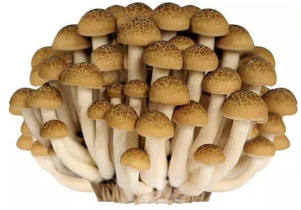 圖片關(guān)鍵詞 http://m.aaa153.com/ewebeditor/uploadfile/20170914091421667001.png