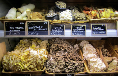 圖片關(guān)鍵詞 圖片關(guān)鍵詞