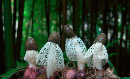 圖片關(guān)鍵詞 http://m.aaa153.com/ewebeditor/uploadfile/20180828110329835001.png