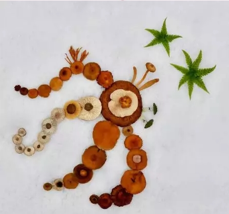 圖片關(guān)鍵詞 圖片關(guān)鍵詞