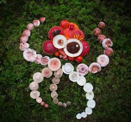 圖片關(guān)鍵詞 圖片關(guān)鍵詞