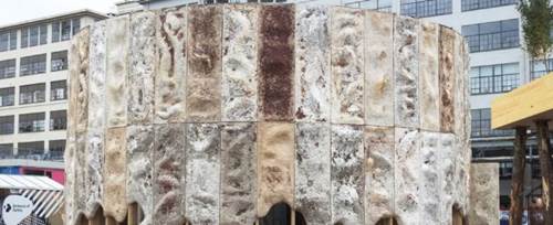 圖片關(guān)鍵詞 http://www.mushroommarket.net/file/upload/202002/12/09-06-01-99-283825.png