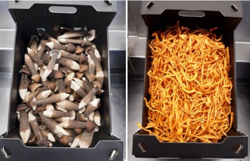 圖片關(guān)鍵詞 http://www.mushroommarket.net/file/upload/202003/17/10-37-06-53-283825.png