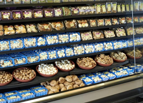 圖片關(guān)鍵詞 http://www.mushroommarket.net/file/upload/202004/21/13-30-41-69-283825.png