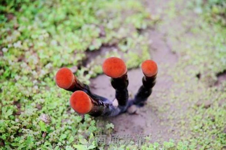 圖片關(guān)鍵詞 圖片關(guān)鍵詞