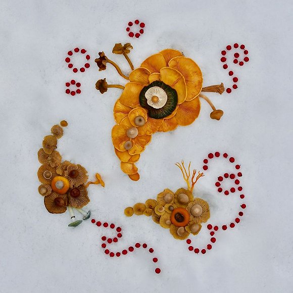 圖片關(guān)鍵詞 http://img2.jiemian.com/jiemian/original/20171123/151141534813005000_a580xH.jpg