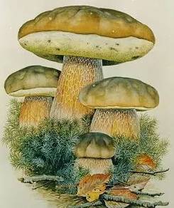 圖片關(guān)鍵詞 圖片