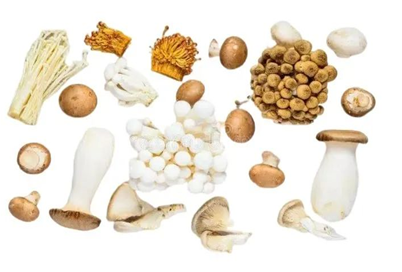 圖片關(guān)鍵詞 圖片關(guān)鍵詞