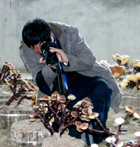 圖片關(guān)鍵詞 圖片關(guān)鍵詞