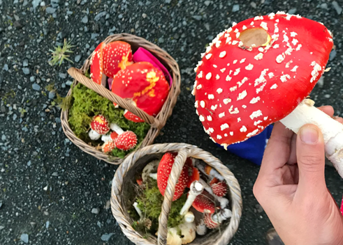 圖片關(guān)鍵詞 圖片關(guān)鍵詞