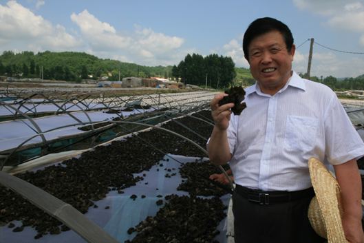 圖片關鍵詞 圖片關鍵詞