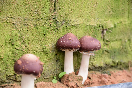 圖片關(guān)鍵詞 圖片關(guān)鍵詞