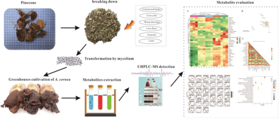 圖片關(guān)鍵詞 圖片關(guān)鍵詞