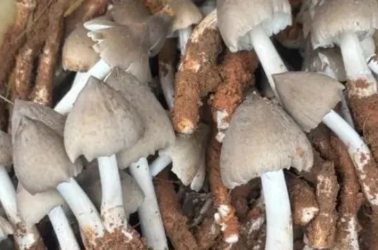 圖片關(guān)鍵詞 圖片關(guān)鍵詞