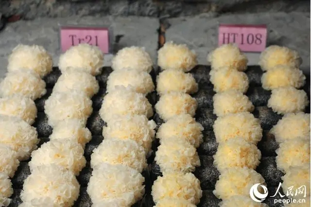 圖片關鍵詞 圖片關鍵詞