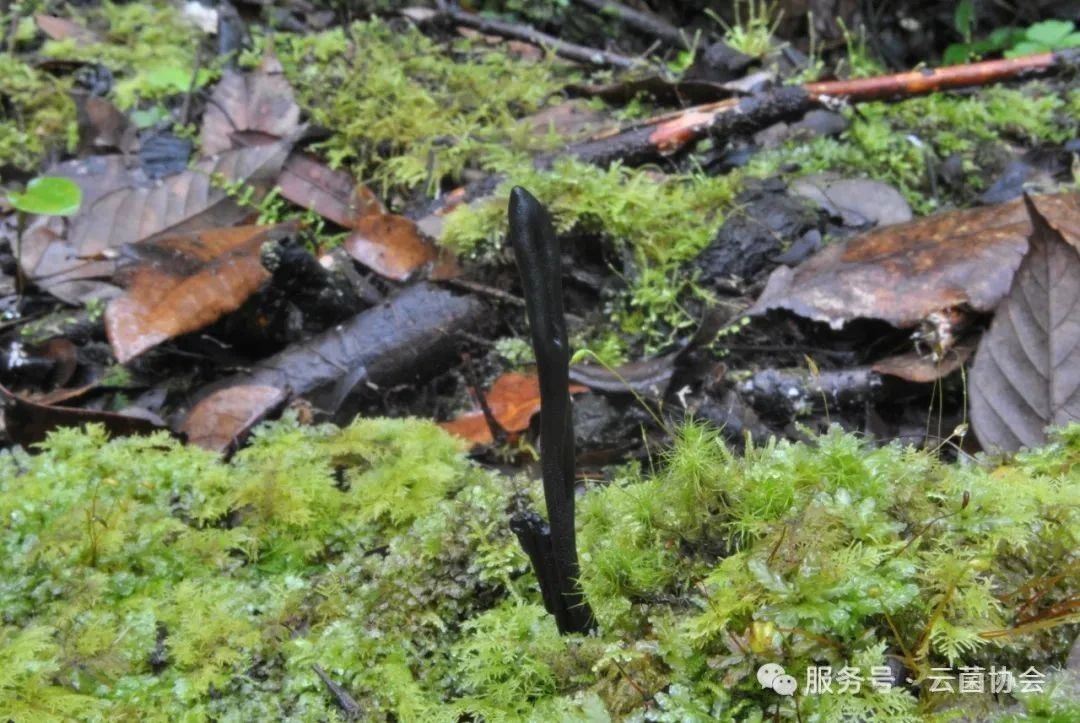 圖片關(guān)鍵詞 圖片關(guān)鍵詞