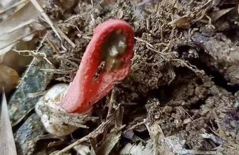 圖片關鍵詞 圖片關鍵詞