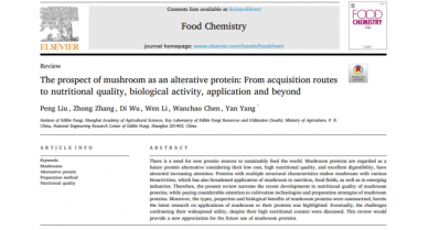 行業(yè)動(dòng)態(tài)