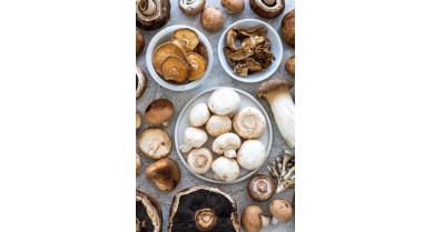 行業(yè)動態(tài)