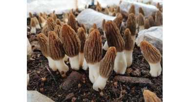 行業(yè)動(dòng)態(tài)