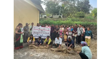 行業(yè)動(dòng)態(tài)